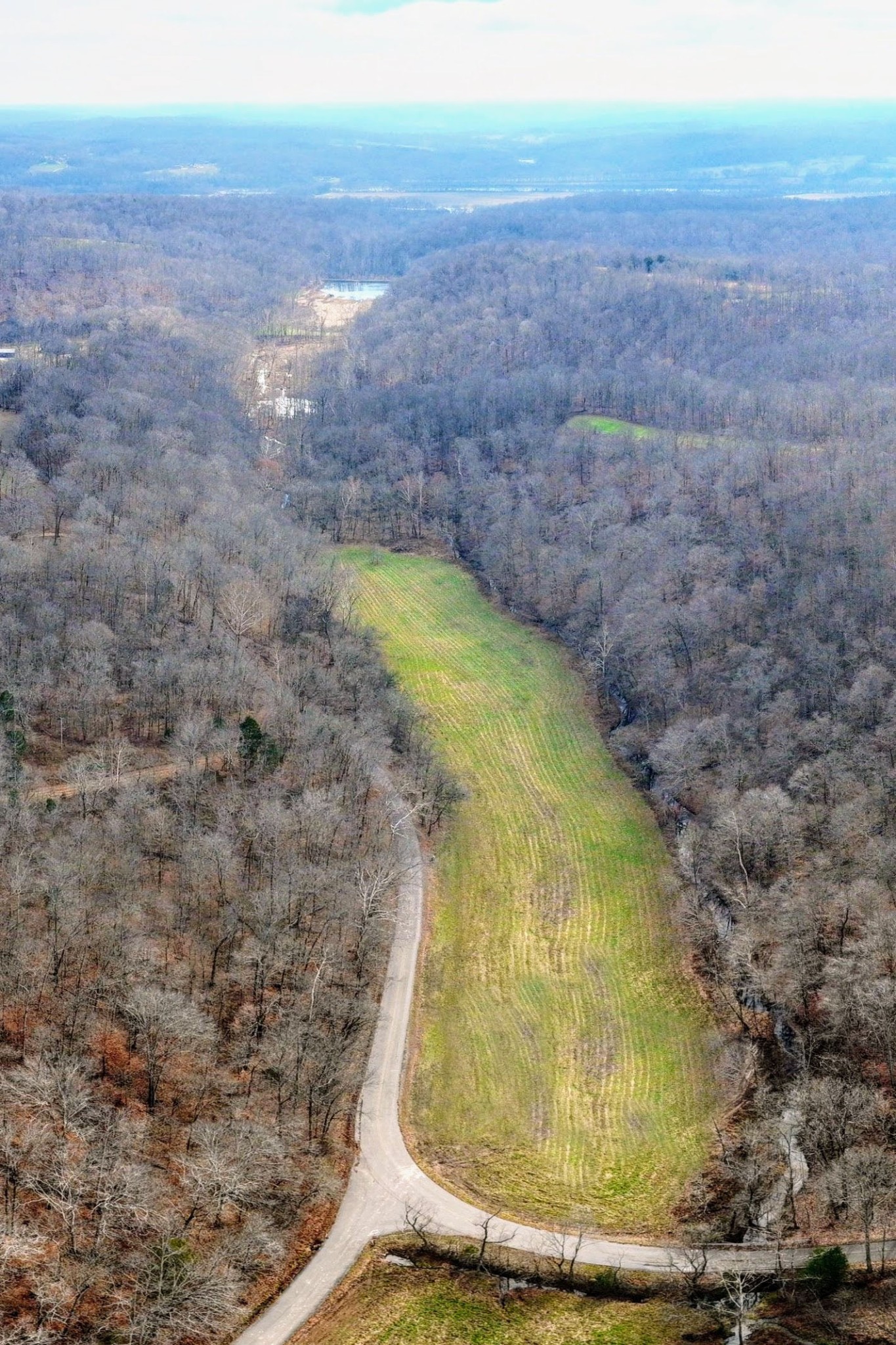 0 Kirkland Road Indian Mound, TN 37079 - Photo 6 of 9 a view of a yard
