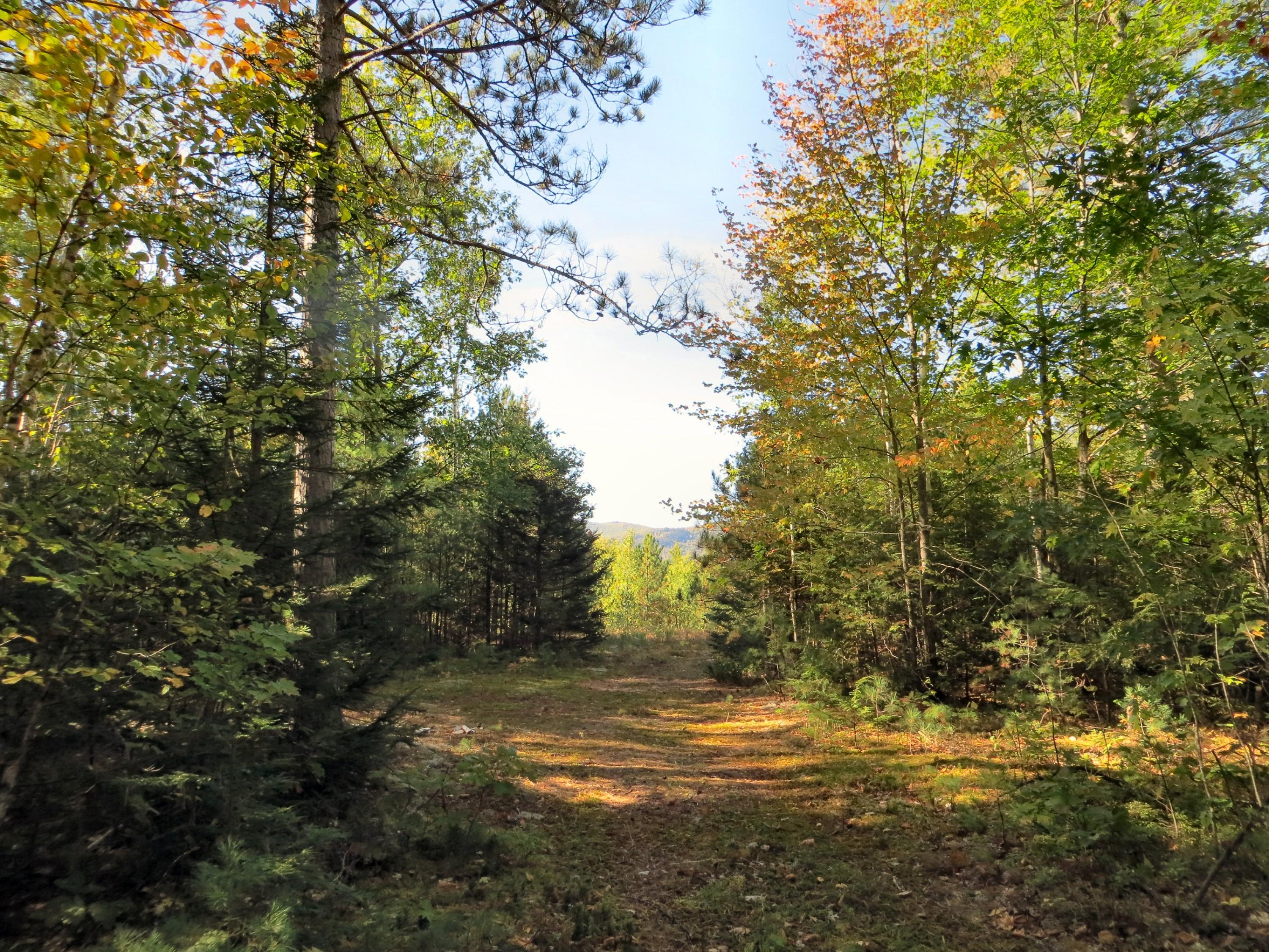 Lot 08 Mt Tumbledown Road Bethel, ME 04217 - Photo 9 of 18 IMG_1653