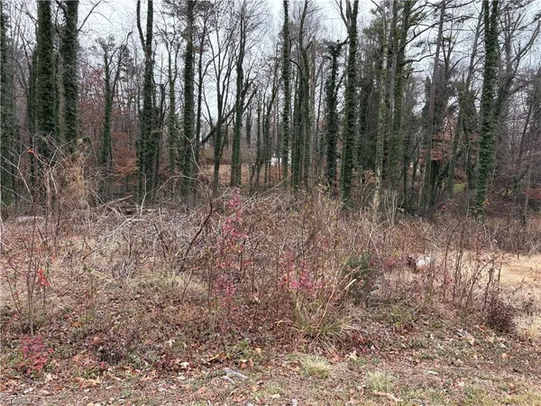 $45,000 | 0 Chesapeake Drive, Rural Hall, NC 27045