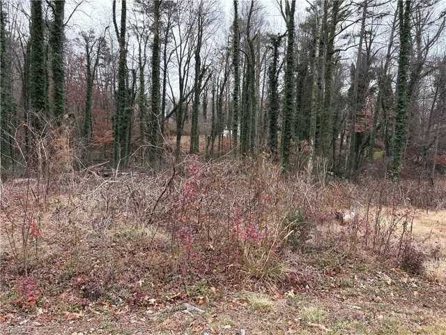 $45,000 | 0 Chesapeake Drive, Rural Hall, NC 27045