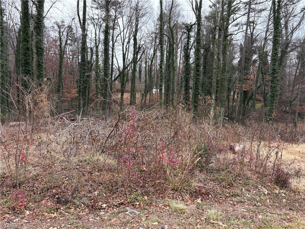 View standing in front of lot