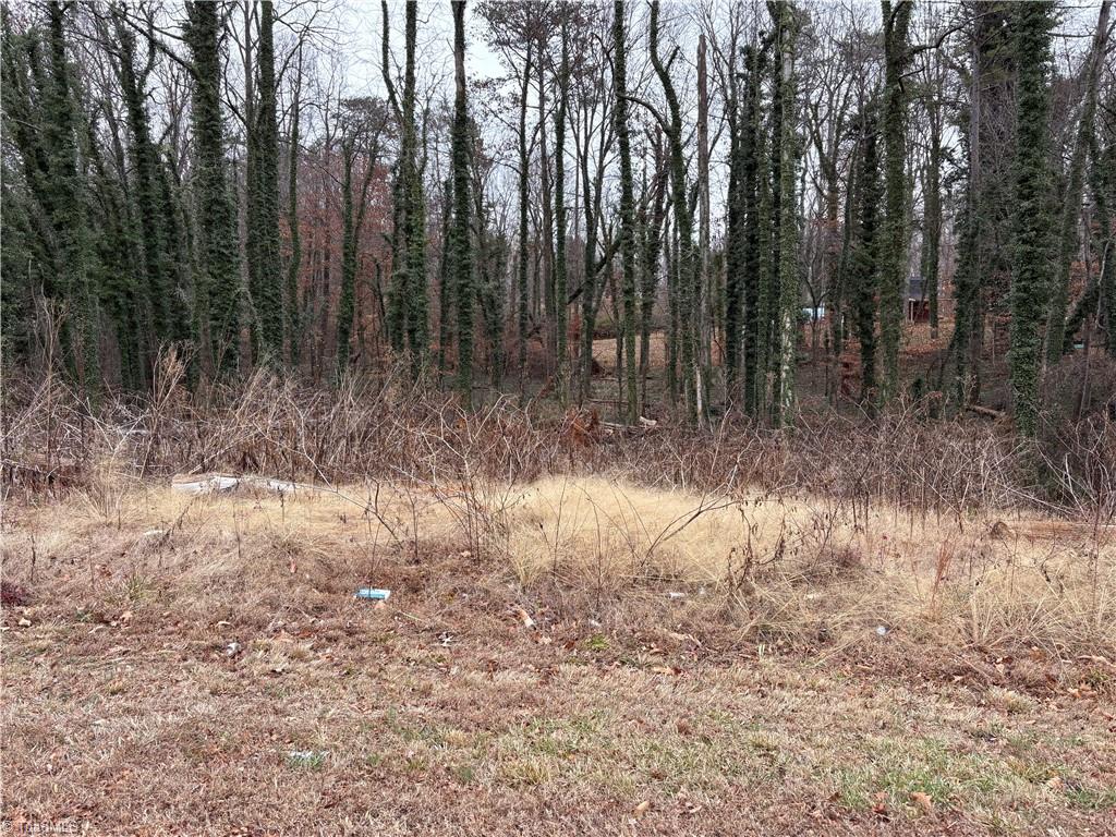 0 Chesapeake Drive Rural Hall, NC 27045 - Photo 2 of 6 frontal