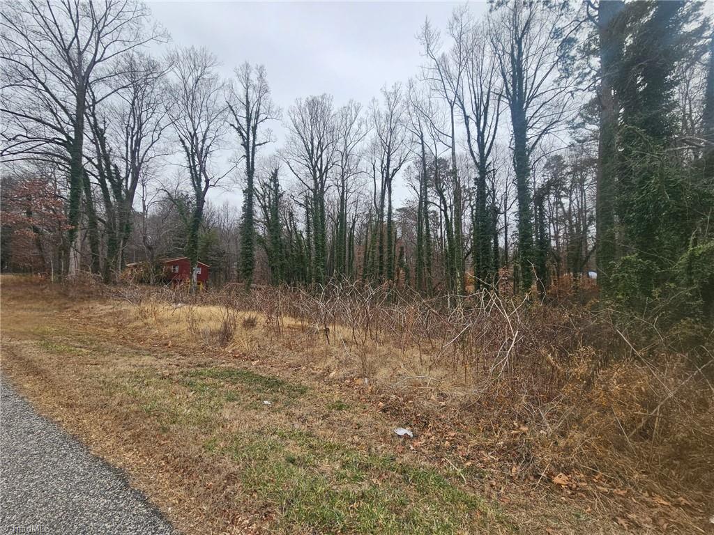 0 Chesapeake Drive Rural Hall, NC 27045 - Photo 4 of 6 lot from right side
