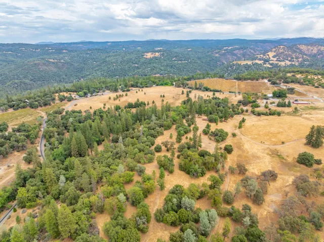 a view of yard with tree and a wooden fence