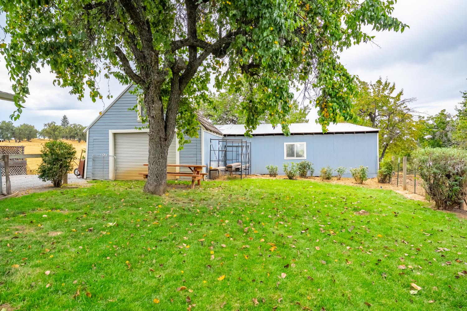 6340 Grizzly Flat Road Somerset, CA 95684 - Photo 14 of 92 a view of backyard of house with green space