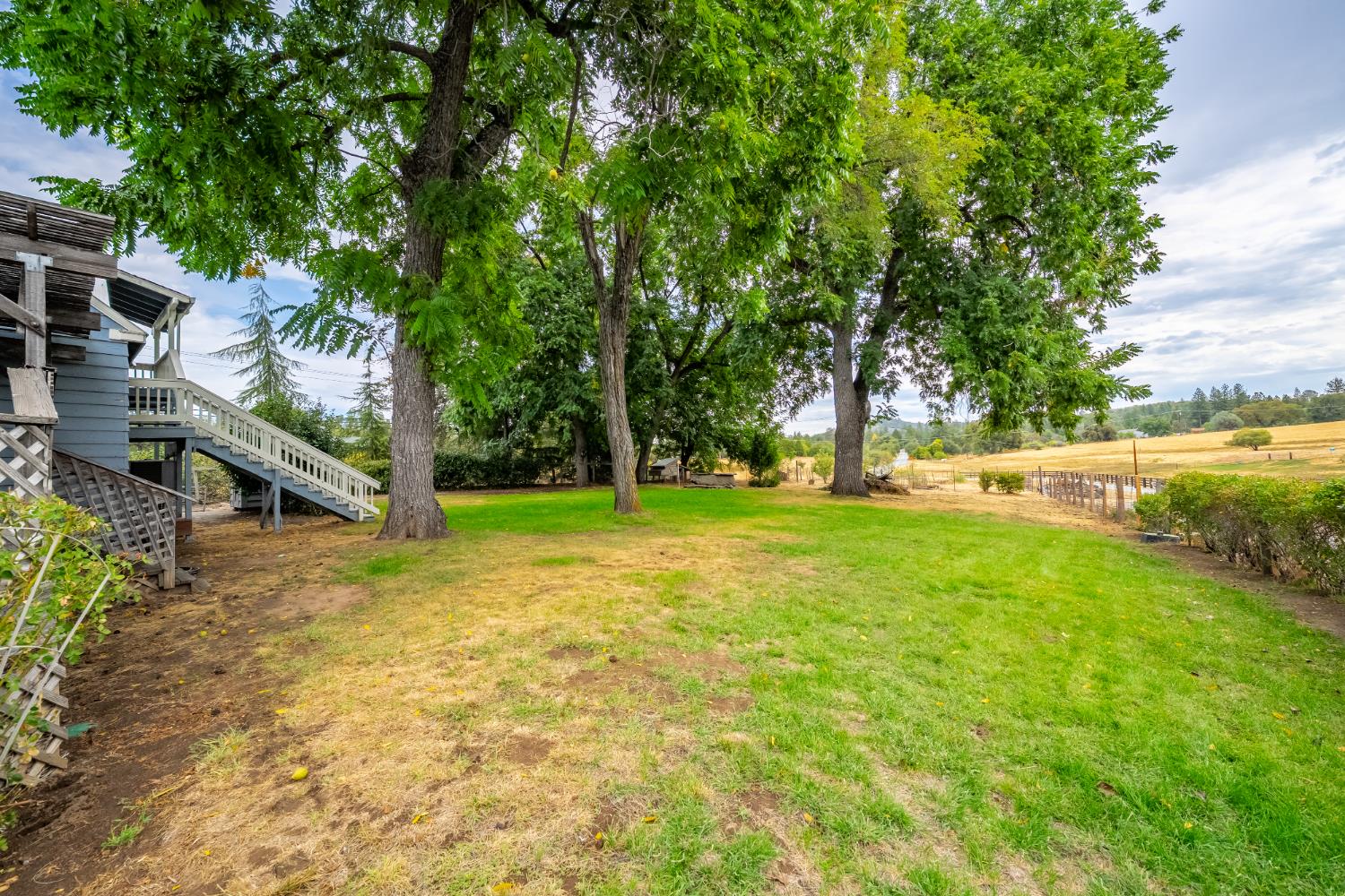 6340 Grizzly Flat Road Somerset, CA 95684 - Photo 19 of 92 a view of yard with tree and a wooden fence