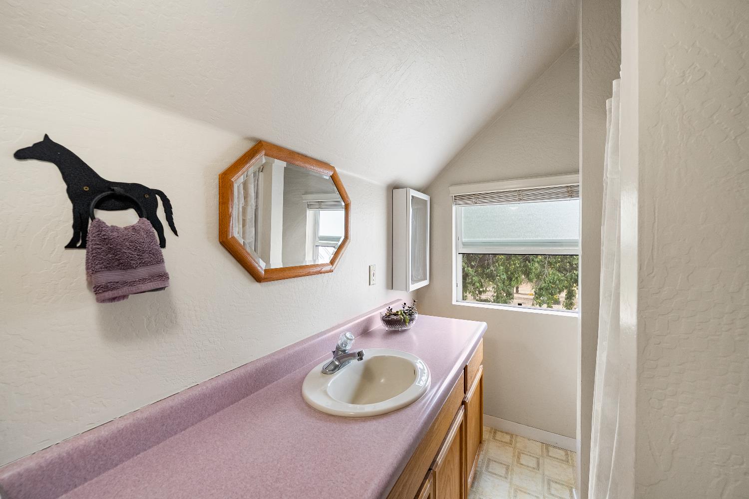 6340 Grizzly Flat Road Somerset, CA 95684 - Photo 43 of 92 a bathroom with a sink a mirror and a window