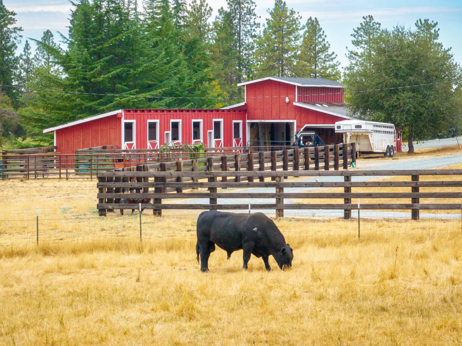 6340 Grizzly Flat Road Somerset, CA 95684 - Photo 52 of 92 a front view of a house with swimming pool