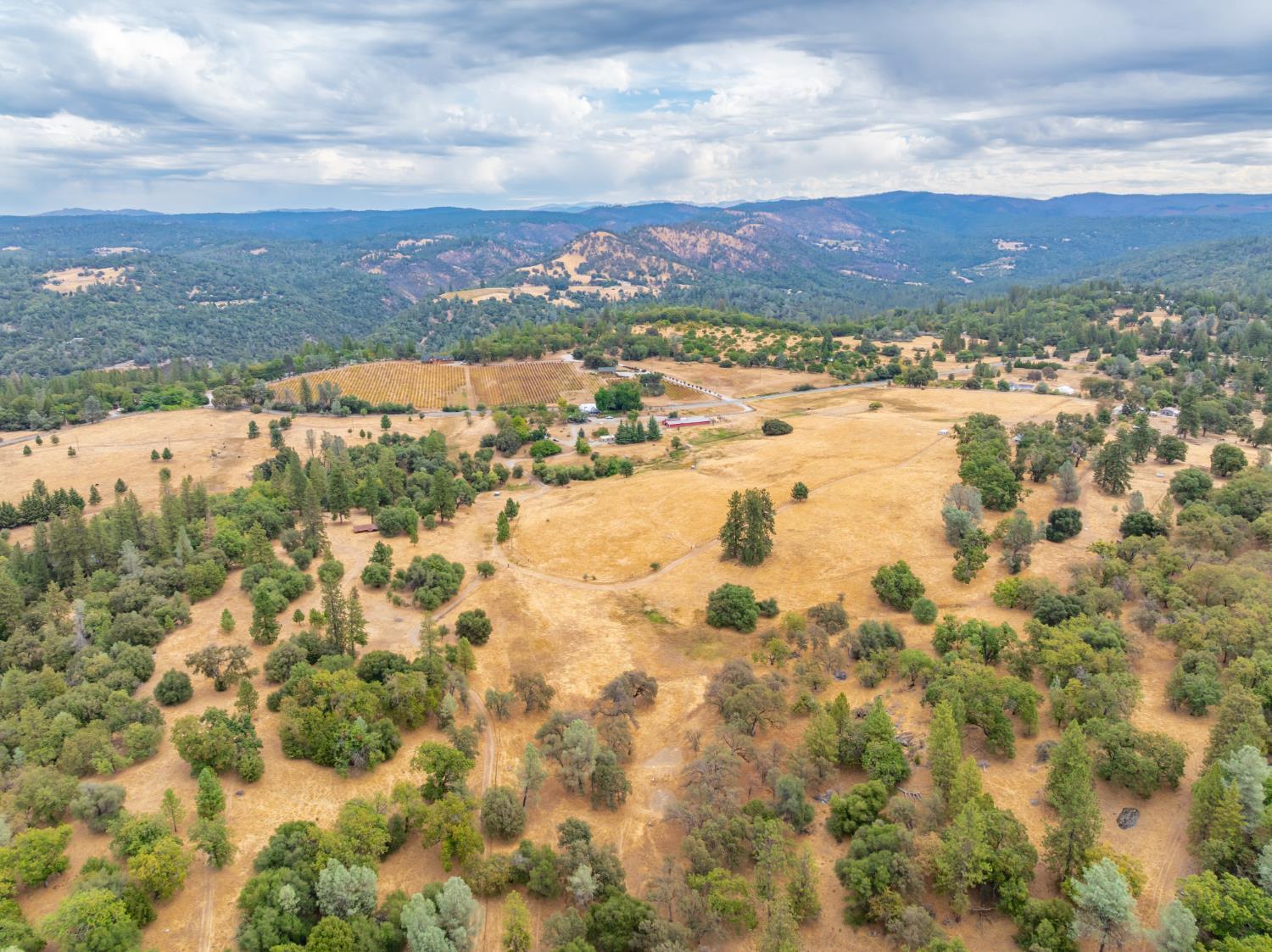6340 Grizzly Flat Road Somerset, CA 95684 - Photo 6 of 92 a view of city and ocean