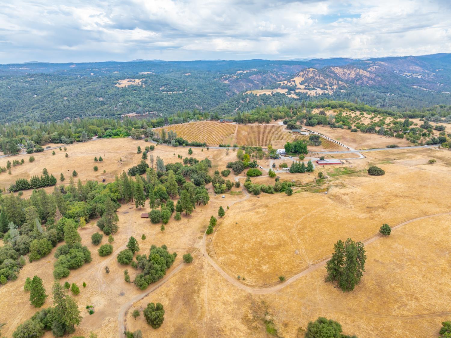 6340 Grizzly Flat Road Somerset, CA 95684 - Photo 7 of 92