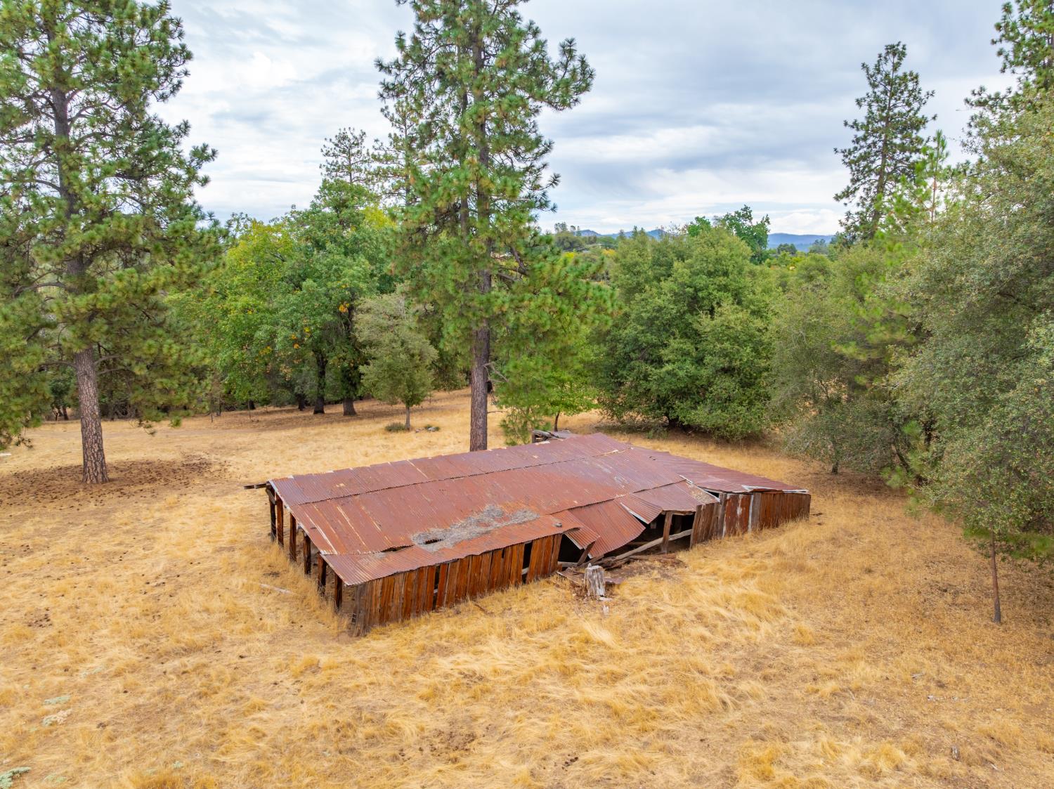 6340 Grizzly Flat Road Somerset, CA 95684 - Photo 72 of 92 a view of a swimming pool with yard and trees in the background