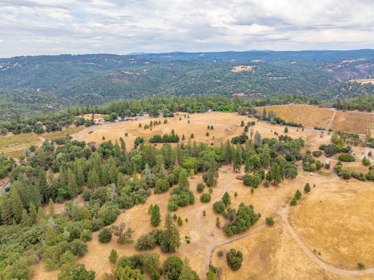 6340 Grizzly Flat Road Somerset, CA 95684 - Photo 8 of 92