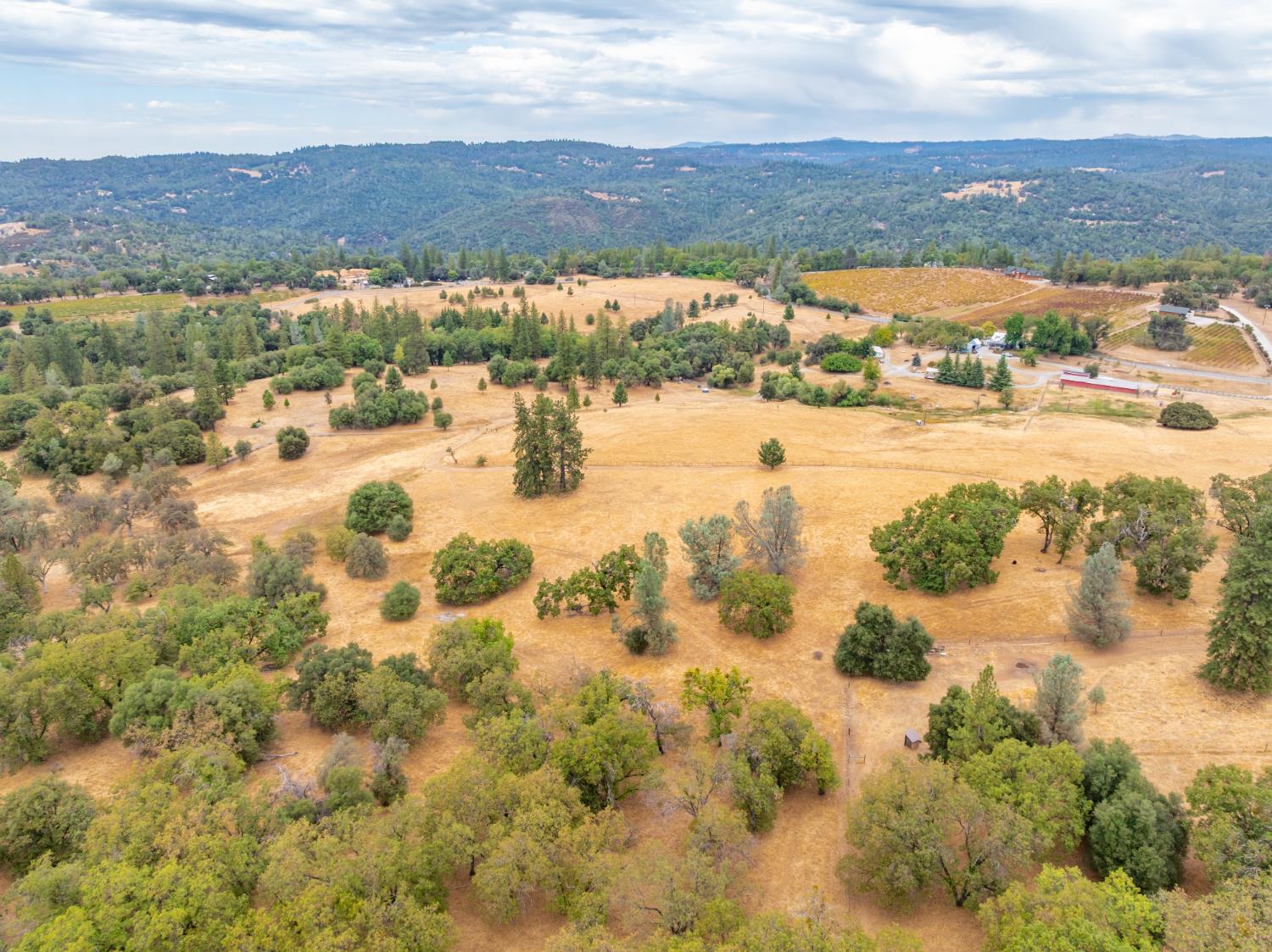 6340 Grizzly Flat Road Somerset, CA 95684 - Photo 88 of 92 an aerial view of residential houses with outdoor space