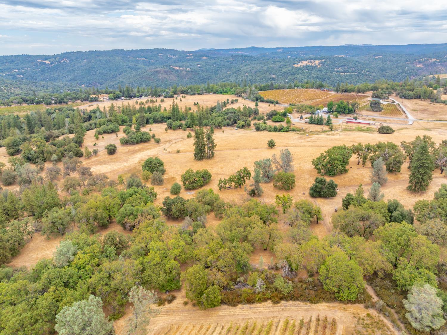 6340 Grizzly Flat Road Somerset, CA 95684 - Photo 89 of 92