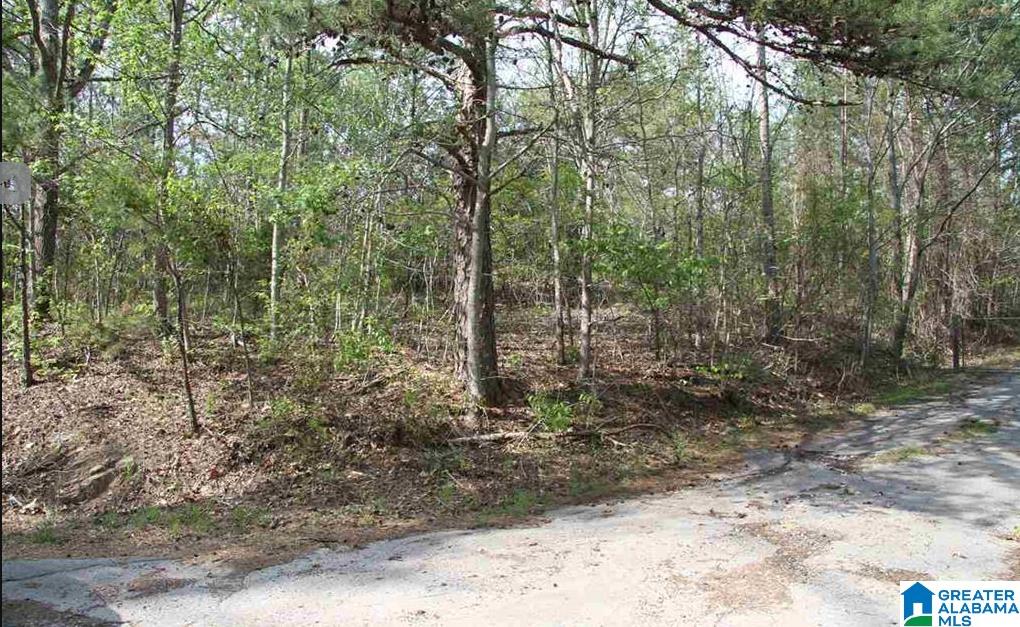 8789 Marsh Mountain Road, Unit 1 Pinson, AL 35126 - Photo 4 of 6