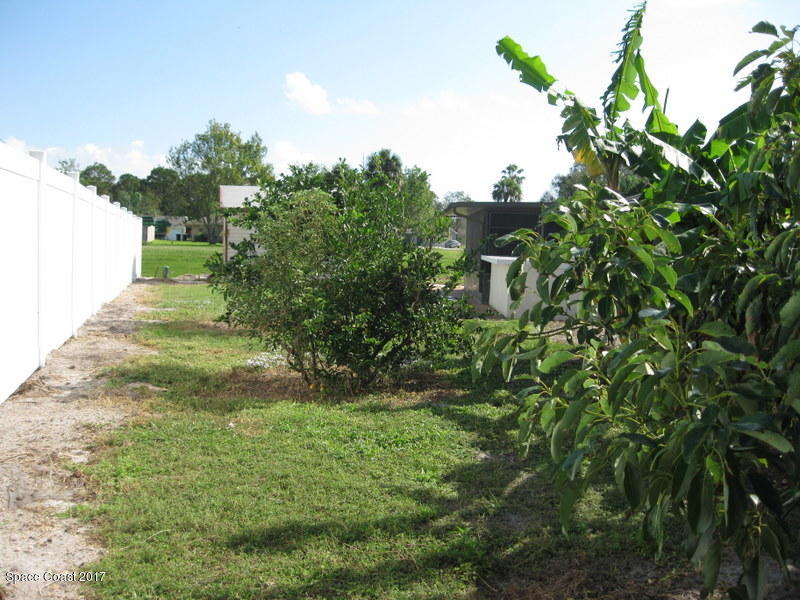 1001 Cromey Road Northeast Palm Bay, FL 32905 - Photo 22 of 28 backyard1