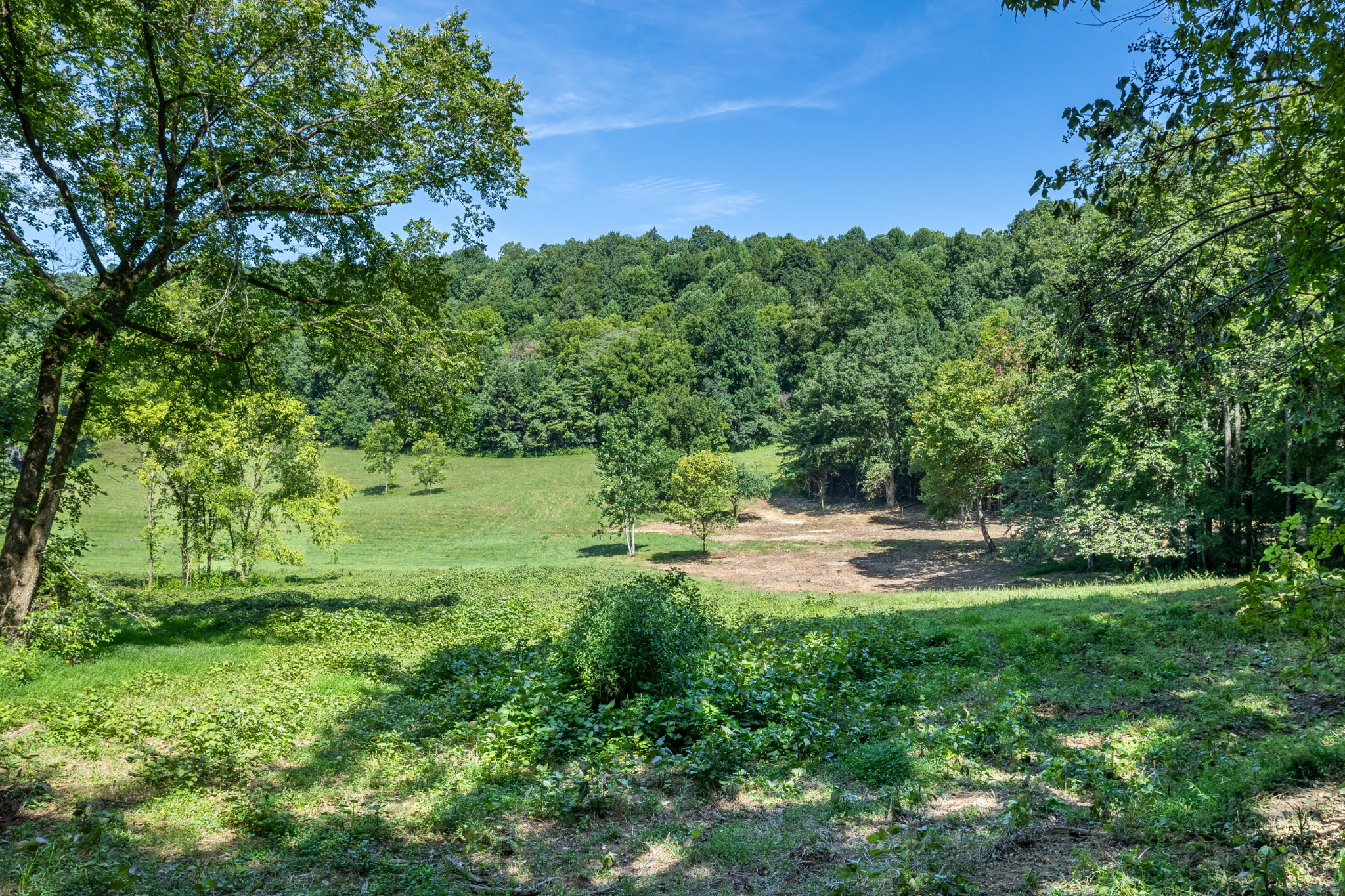 2952 Springplace Road Belfast, TN 37019 - Photo 36 of 45 Gallery Image 36
