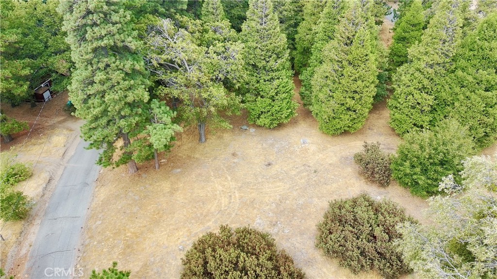 0 Mojave River Road Cedarpines Park, CA 92325 - Photo 16 of 32 a view of a garden with plants