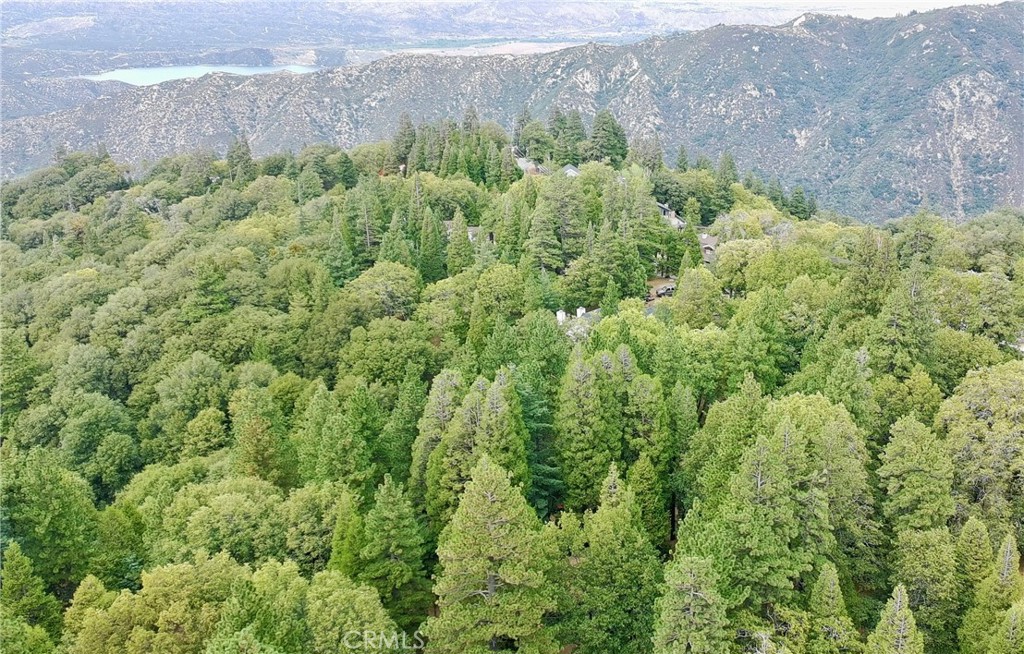 0 Mojave River Road Cedarpines Park, CA 92325 - Photo 17 of 32 a view of a bunch of trees and bushes