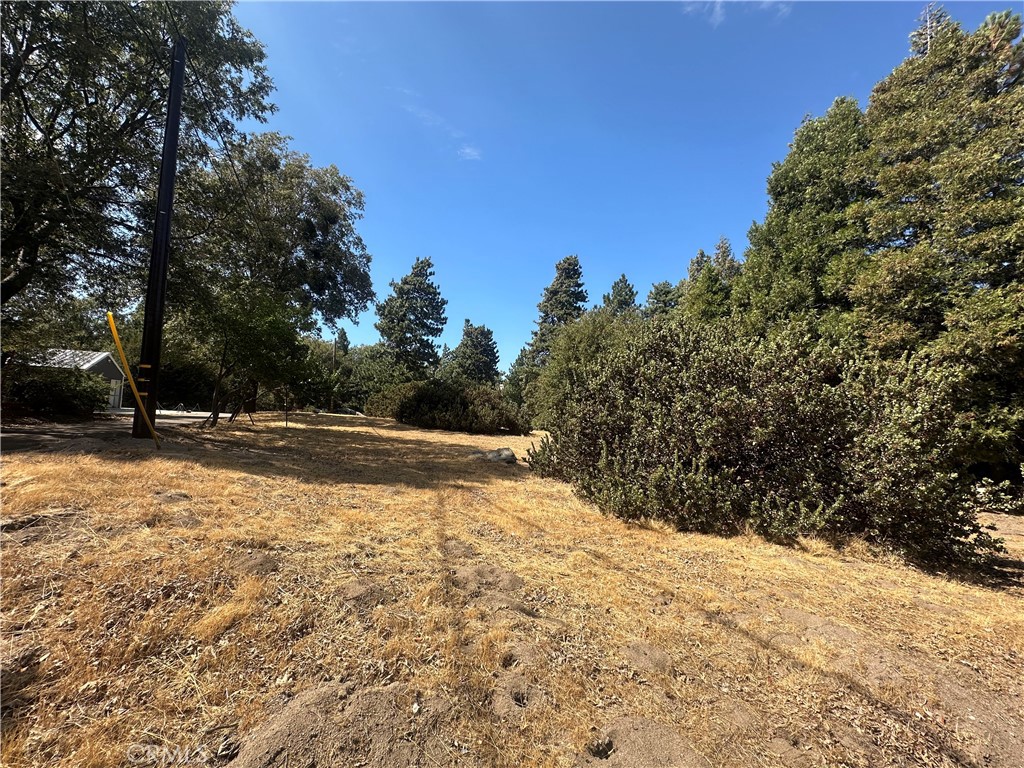 0 Mojave River Road Cedarpines Park, CA 92325 - Photo 18 of 32 a view of yard with large trees