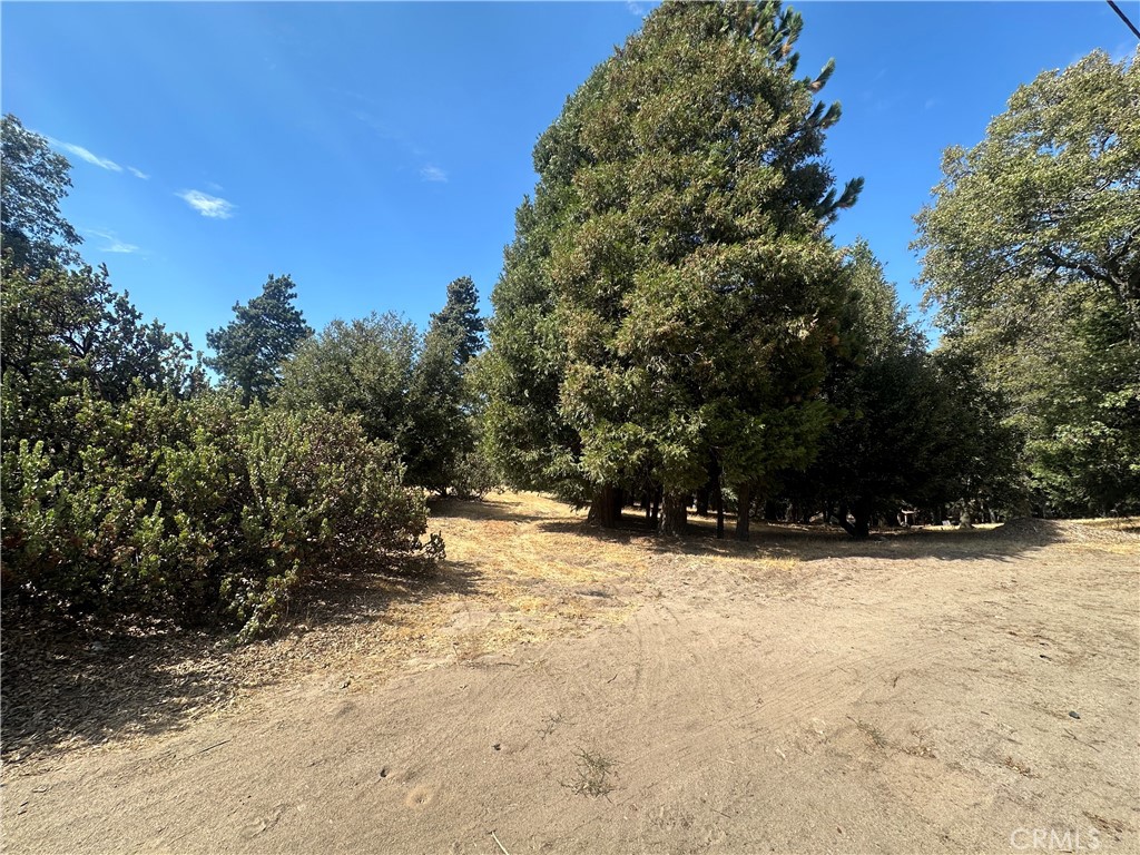 0 Mojave River Road Cedarpines Park, CA 92325 - Photo 20 of 32 a view of a yard with trees
