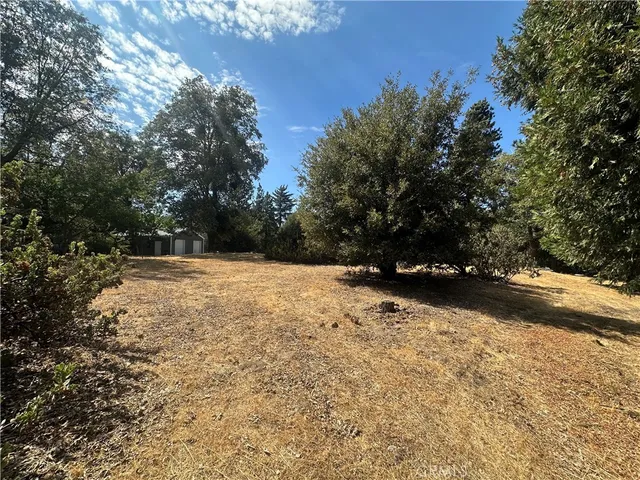 a view of yard and trees
