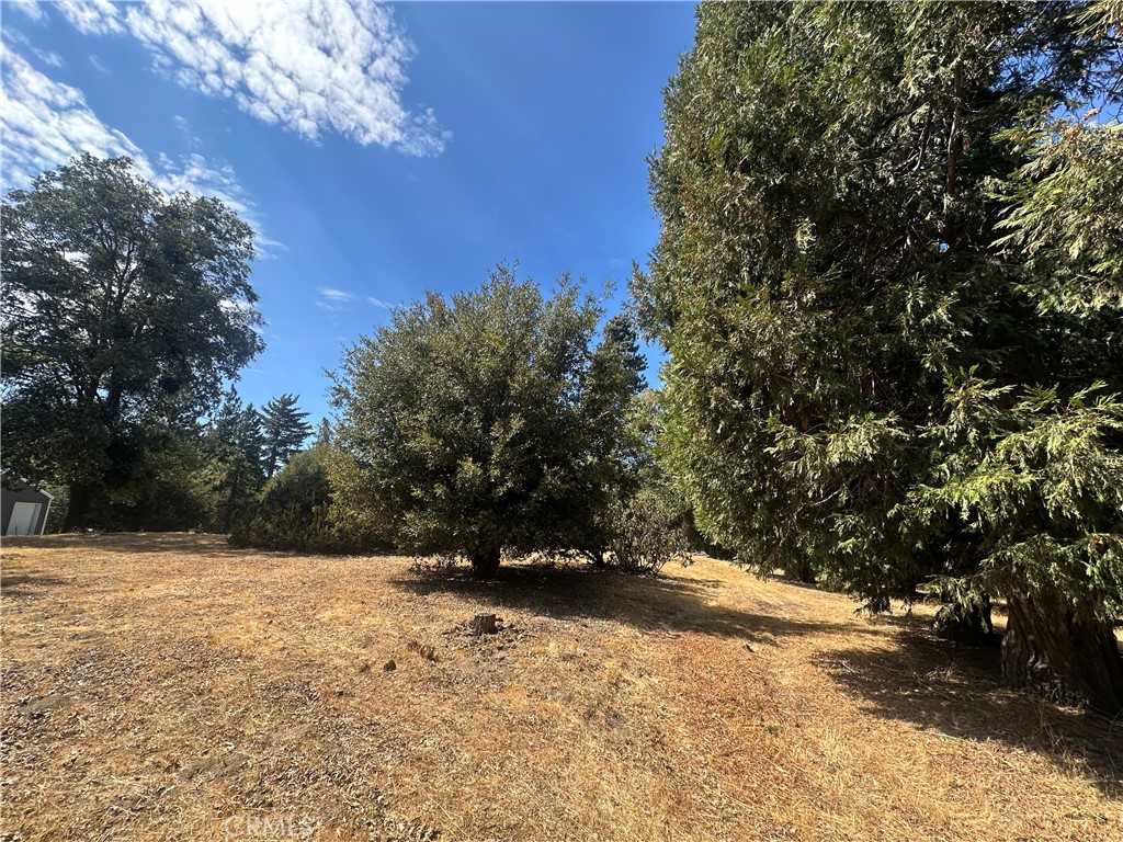 0 Mojave River Road Cedarpines Park, CA 92325 - Photo 22 of 32 a view of outdoor space with mountain view