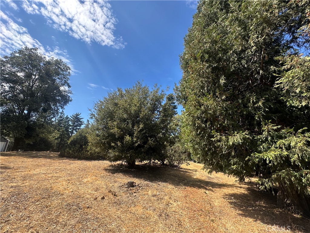 0 Mojave River Road Cedarpines Park, CA 92325 - Photo 23 of 32 a view of a yard with a tree