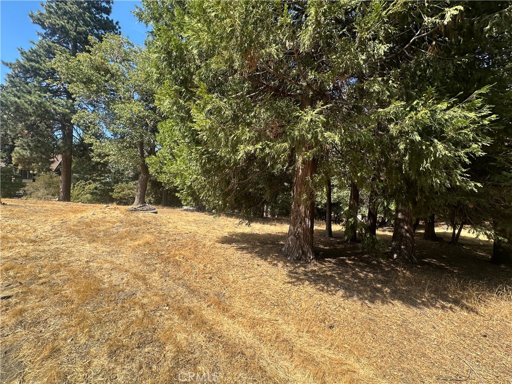 0 Mojave River Road Cedarpines Park, CA 92325 - Photo 24 of 32 a view of yard covered with snow