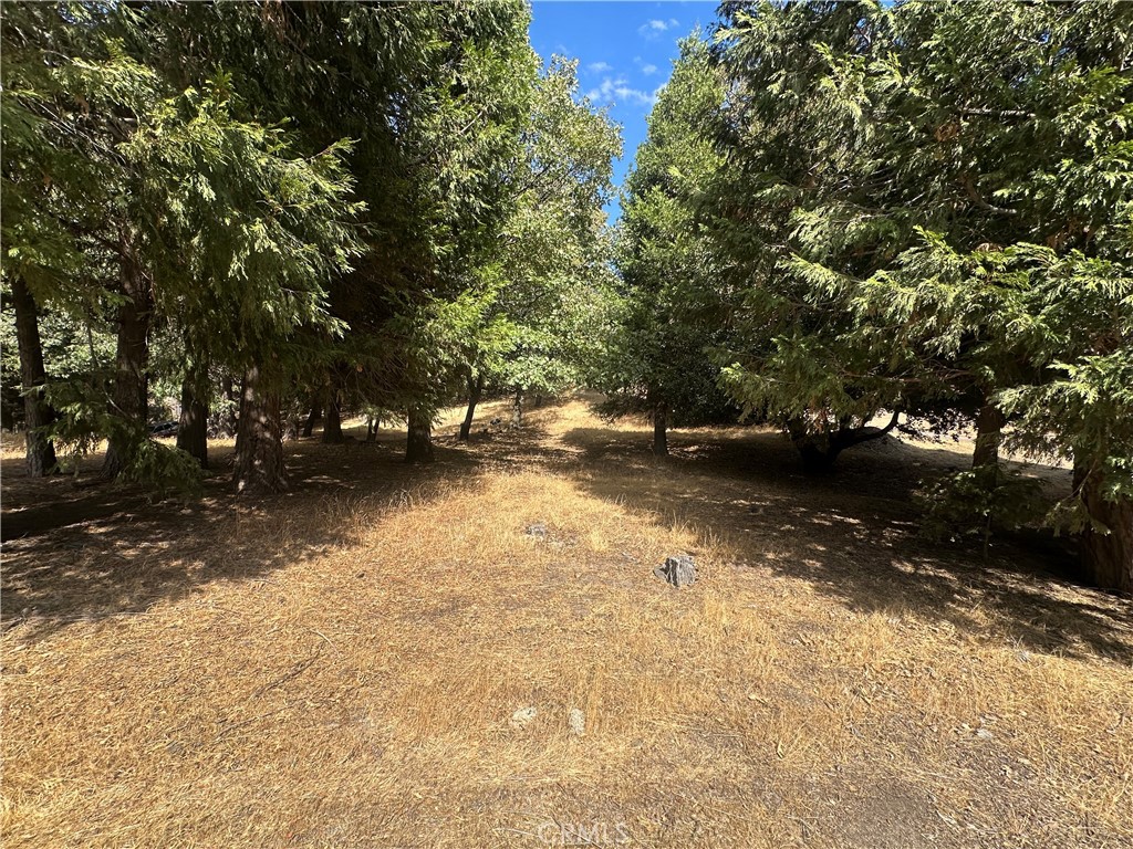 0 Mojave River Road Cedarpines Park, CA 92325 - Photo 25 of 32 a view of yard with trees