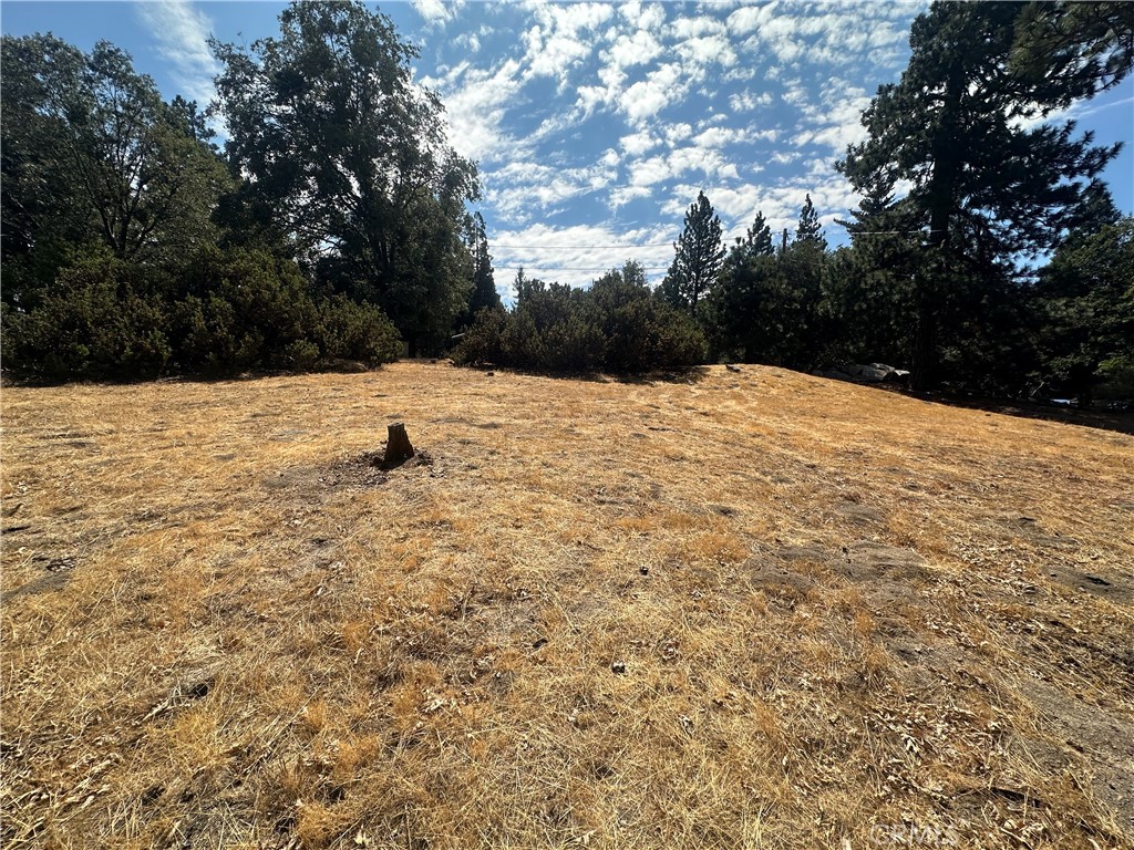 0 Mojave River Road Cedarpines Park, CA 92325 - Photo 26 of 32 a view of outdoor space and yard