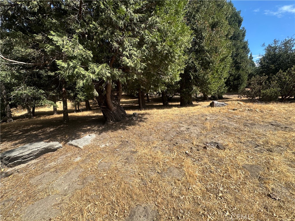0 Mojave River Road Cedarpines Park, CA 92325 - Photo 28 of 32 a view of empty space with trees