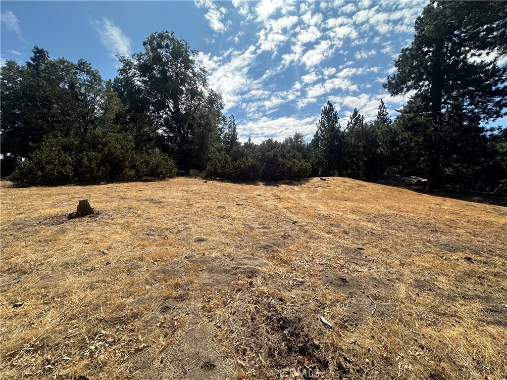 0 Mojave River Road Cedarpines Park, CA 92325 - Photo 29 of 32 a view of large trees