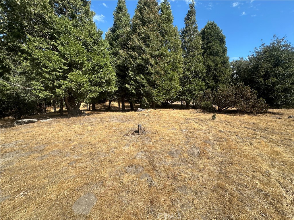 0 Mojave River Road Cedarpines Park, CA 92325 - Photo 30 of 32 a view of yard