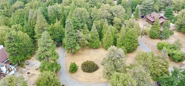 a view of a yard