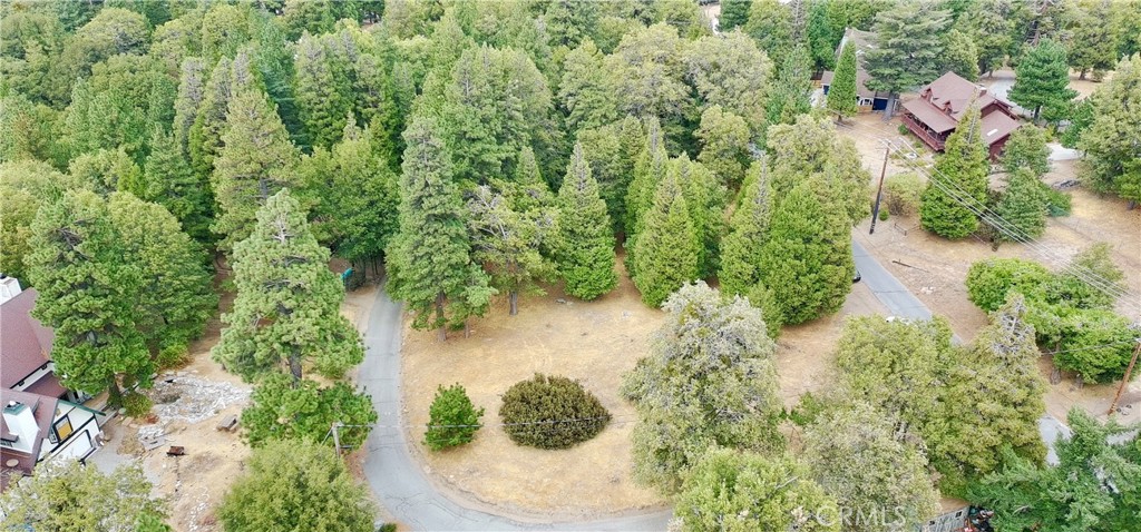 0 Mojave River Road Cedarpines Park, CA 92325 - Photo 3 of 32 a view of a yard