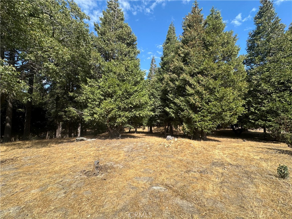 0 Mojave River Road Cedarpines Park, CA 92325 - Photo 31 of 32 a street view covered with snow