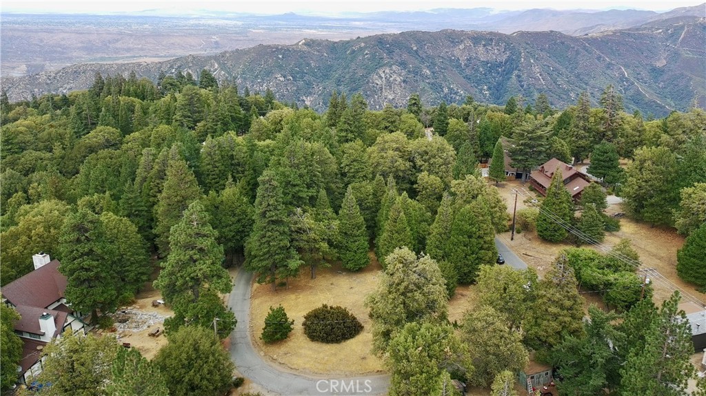 0 Mojave River Road Cedarpines Park, CA 92325 - Photo 6 of 32 an aerial view of a residential houses covered in trees