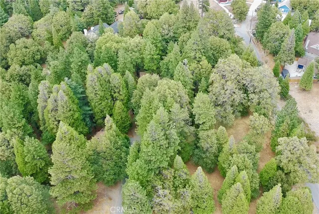 a view of a forest with a building