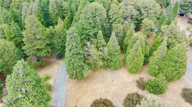 a view of a garden with plants
