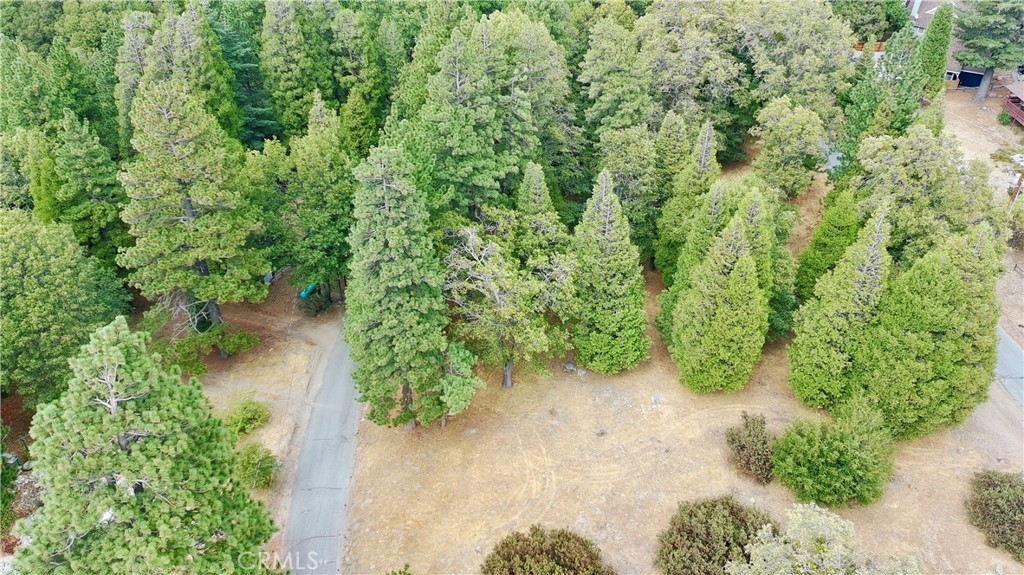 0 Mojave River Road Cedarpines Park, CA 92325 - Photo 9 of 32 a view of a garden with plants