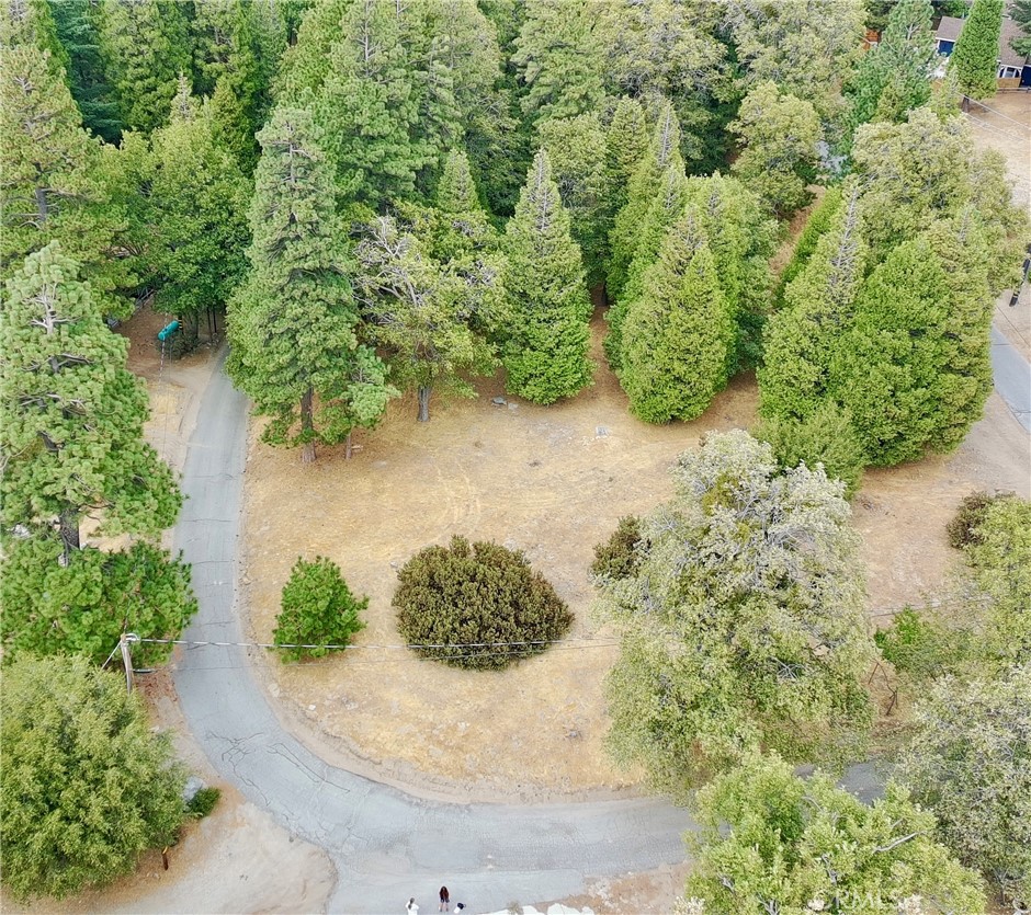 0 Mojave River Road Cedarpines Park, CA 92325 - Photo 10 of 32 a view of a garden with plants
