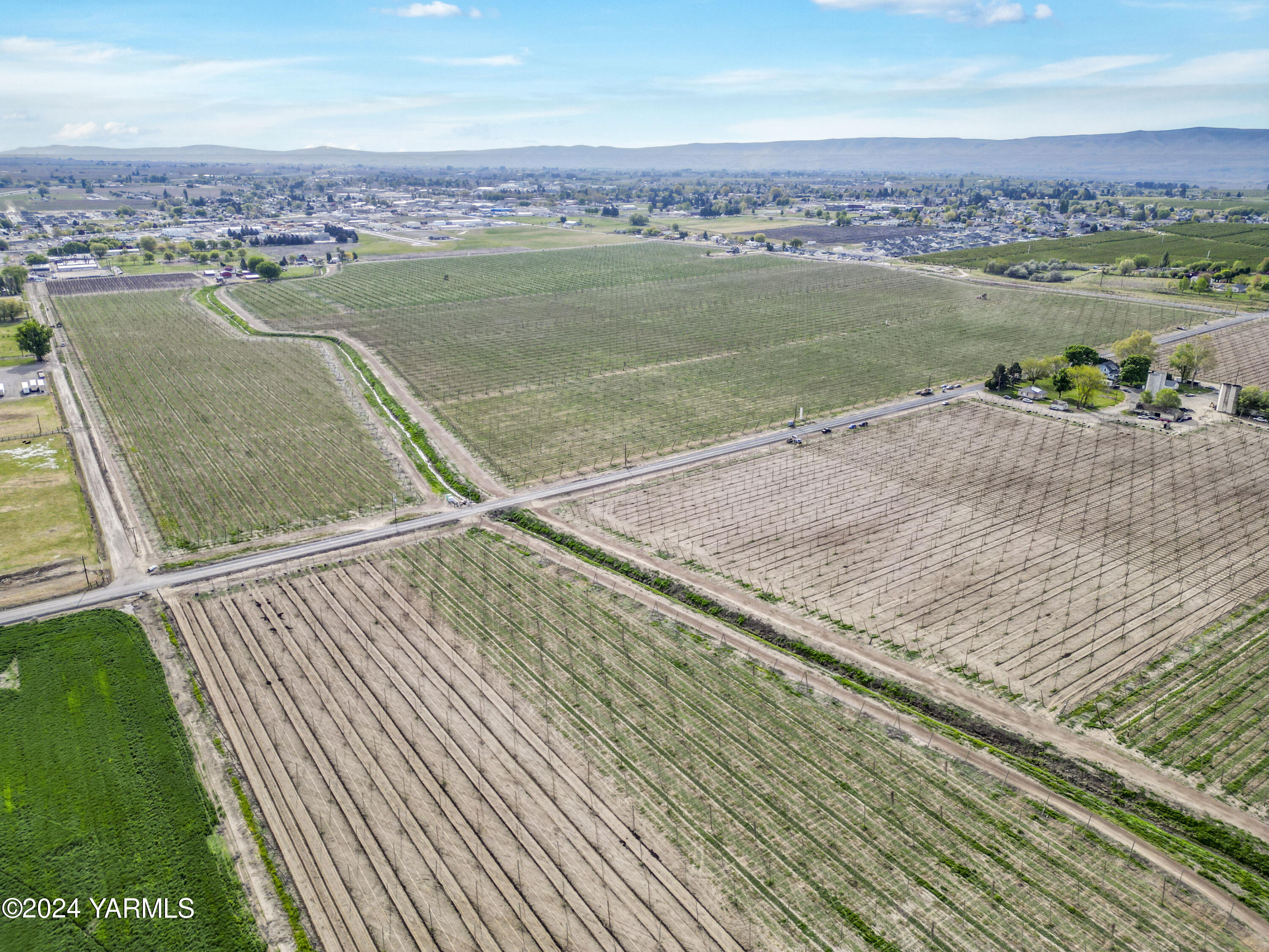 Tbd Tbd Puterbaugh/forsell Road Grandview, WA 98930 - Photo 11 of 36 Puterbaugh 4.24.24 10