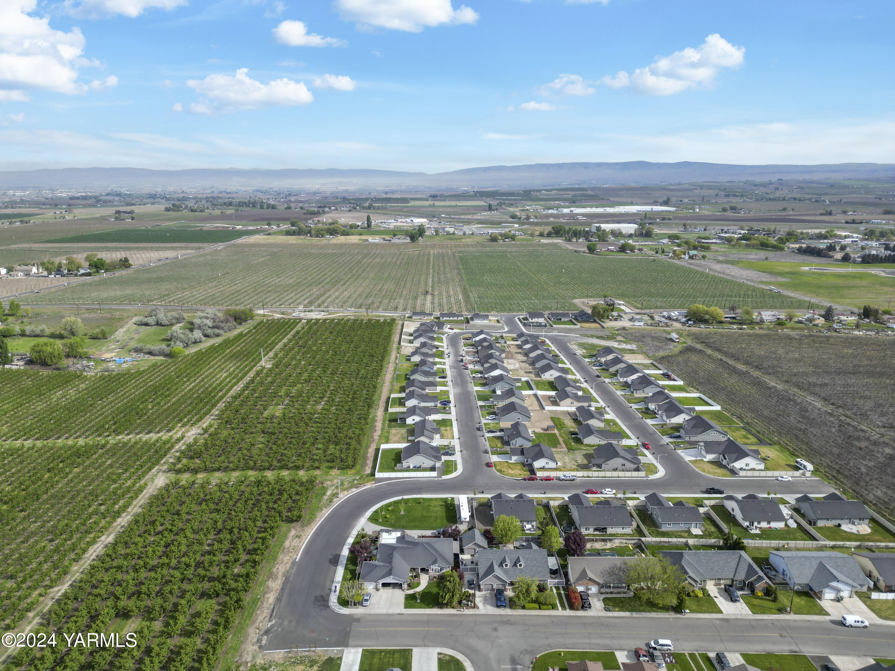 Tbd Tbd Puterbaugh/forsell Road Grandview, WA 98930 - Photo 12 of 36 Puterbaugh 4.24.24 11