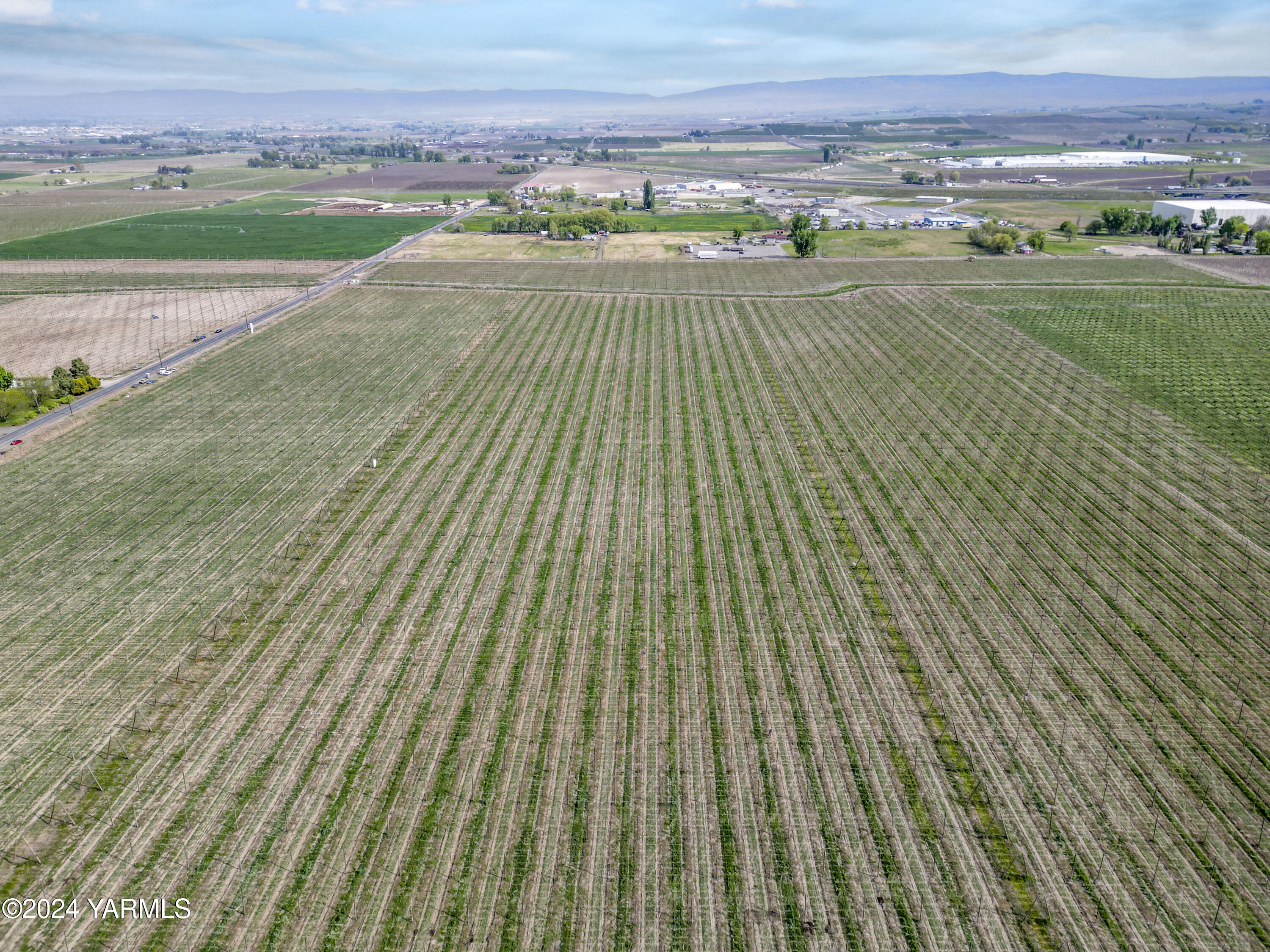 Tbd Tbd Puterbaugh/forsell Road Grandview, WA 98930 - Photo 14 of 36 Puterbaugh 4.24.24 13