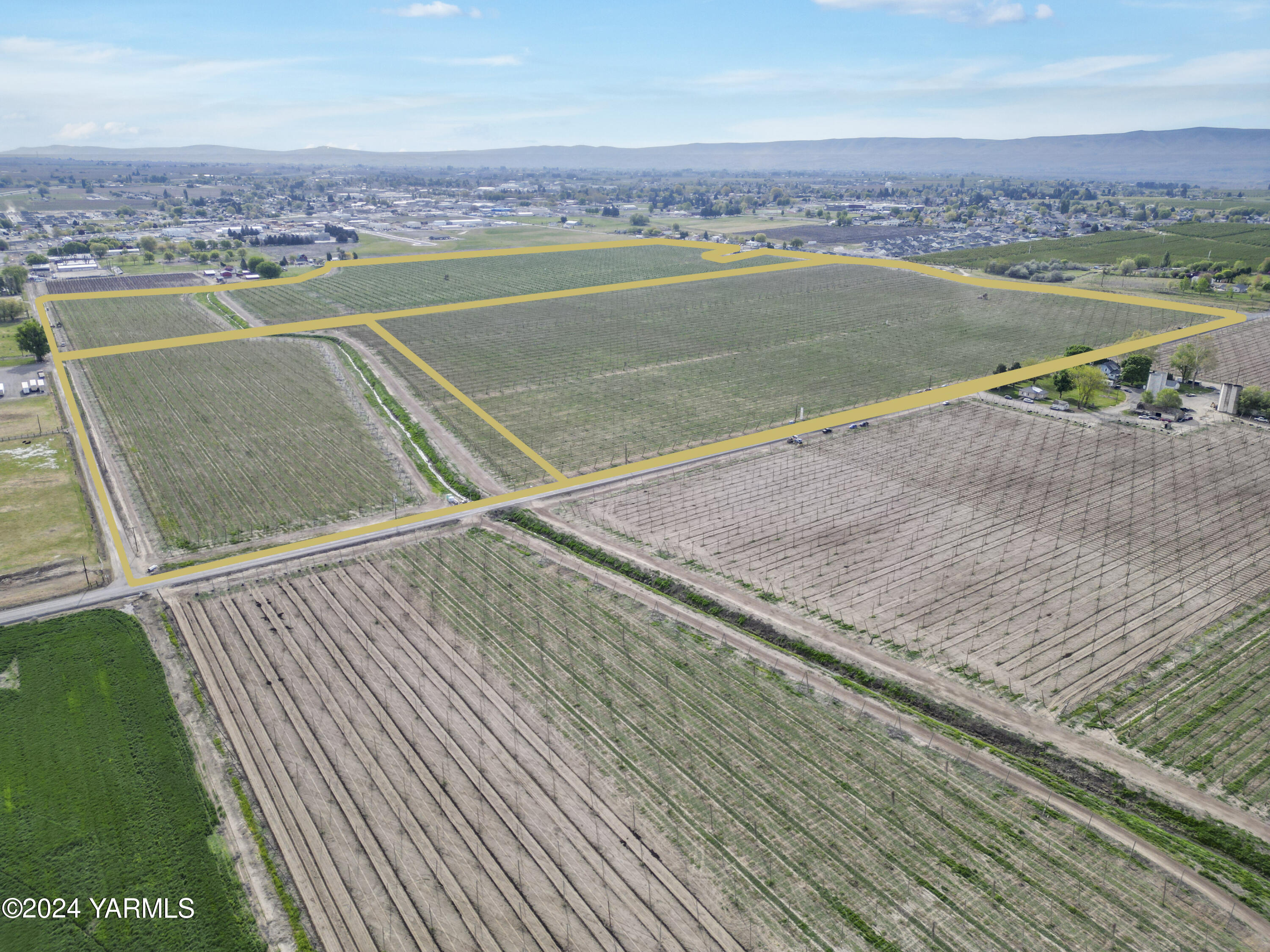 Tbd Tbd Puterbaugh/forsell Road Grandview, WA 98930 - Photo 23 of 36 Puterbaugh 4.24.24 23