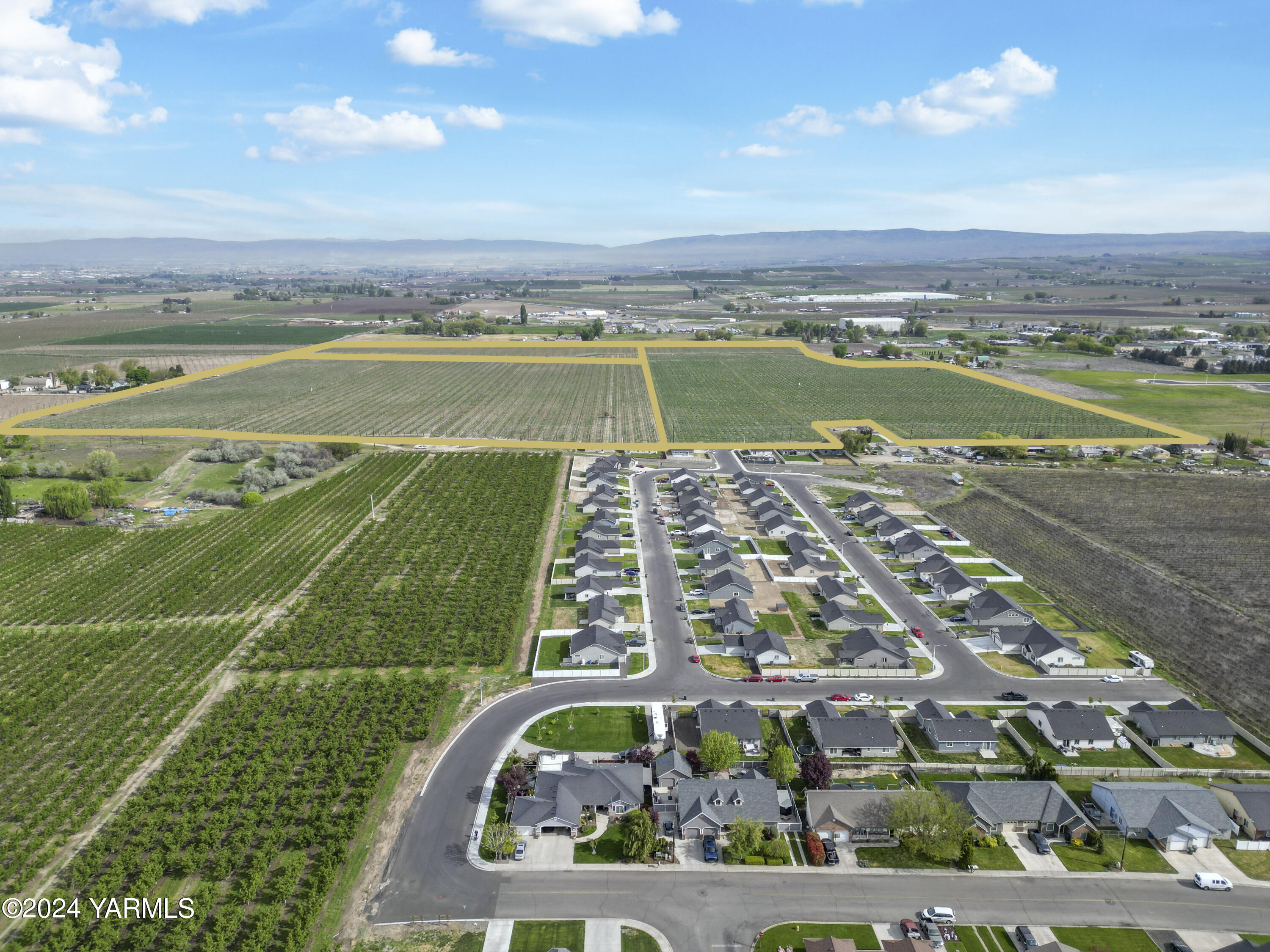 Tbd Tbd Puterbaugh/forsell Road Grandview, WA 98930 - Photo 24 of 36 Puterbaugh 4.24.24 24