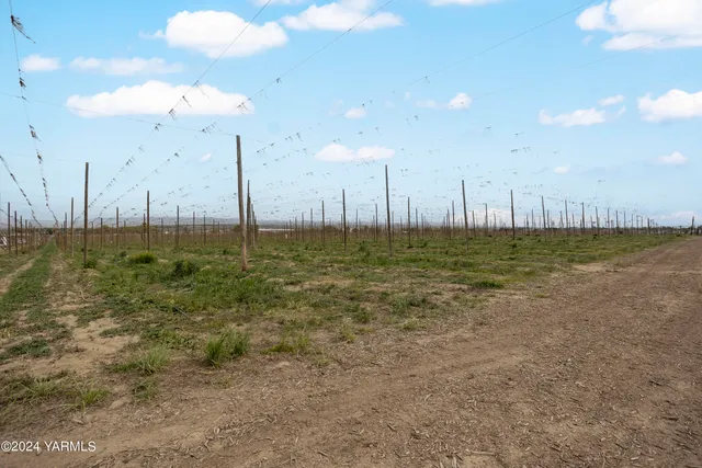 $3,400,000 | Tbd Tbd Puterbaugh/forsell Road, Grandview, WA 98930