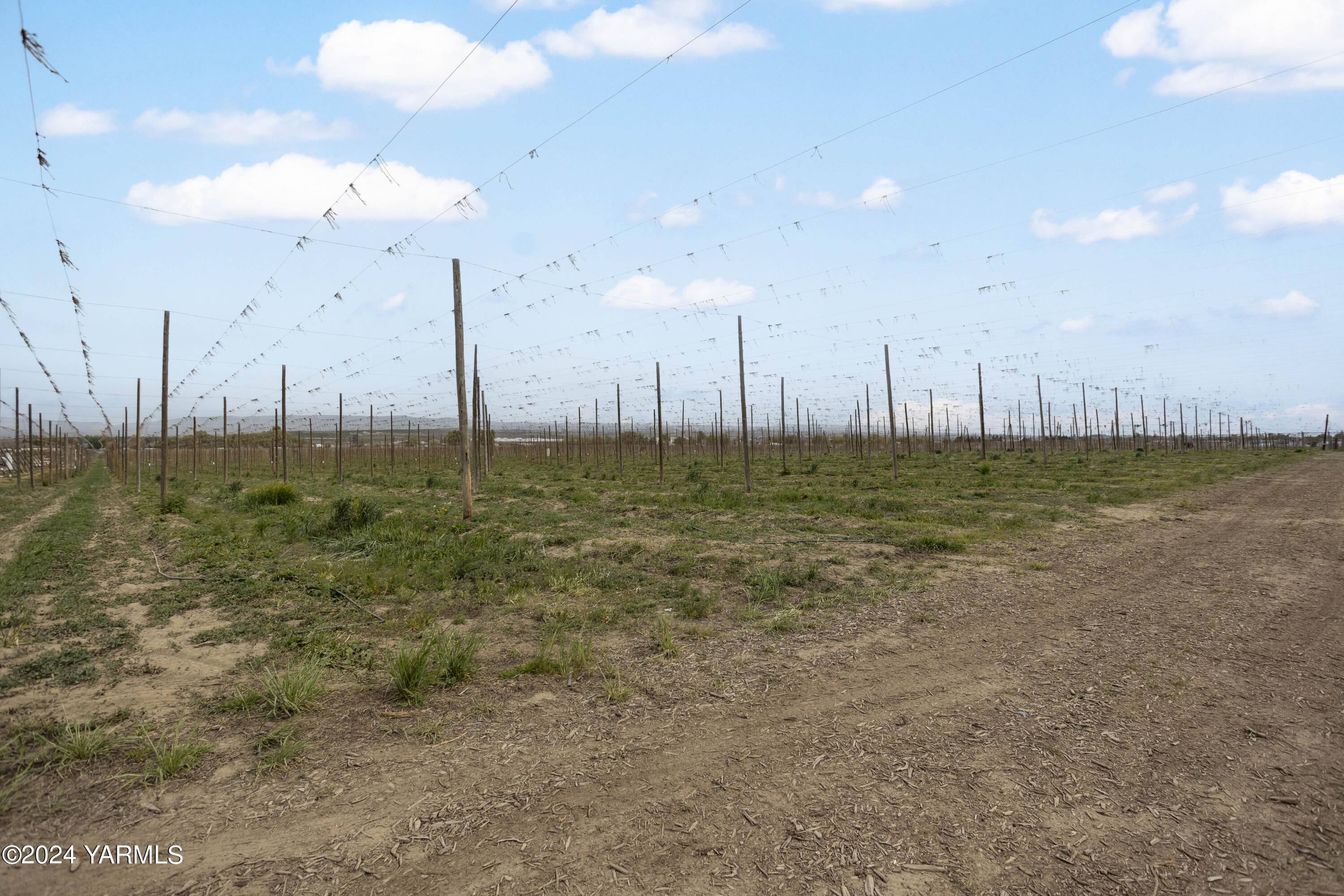 Tbd Tbd Puterbaugh/forsell Road Grandview, WA 98930 - Photo 27 of 36 Puterbaugh 4.24.24 27