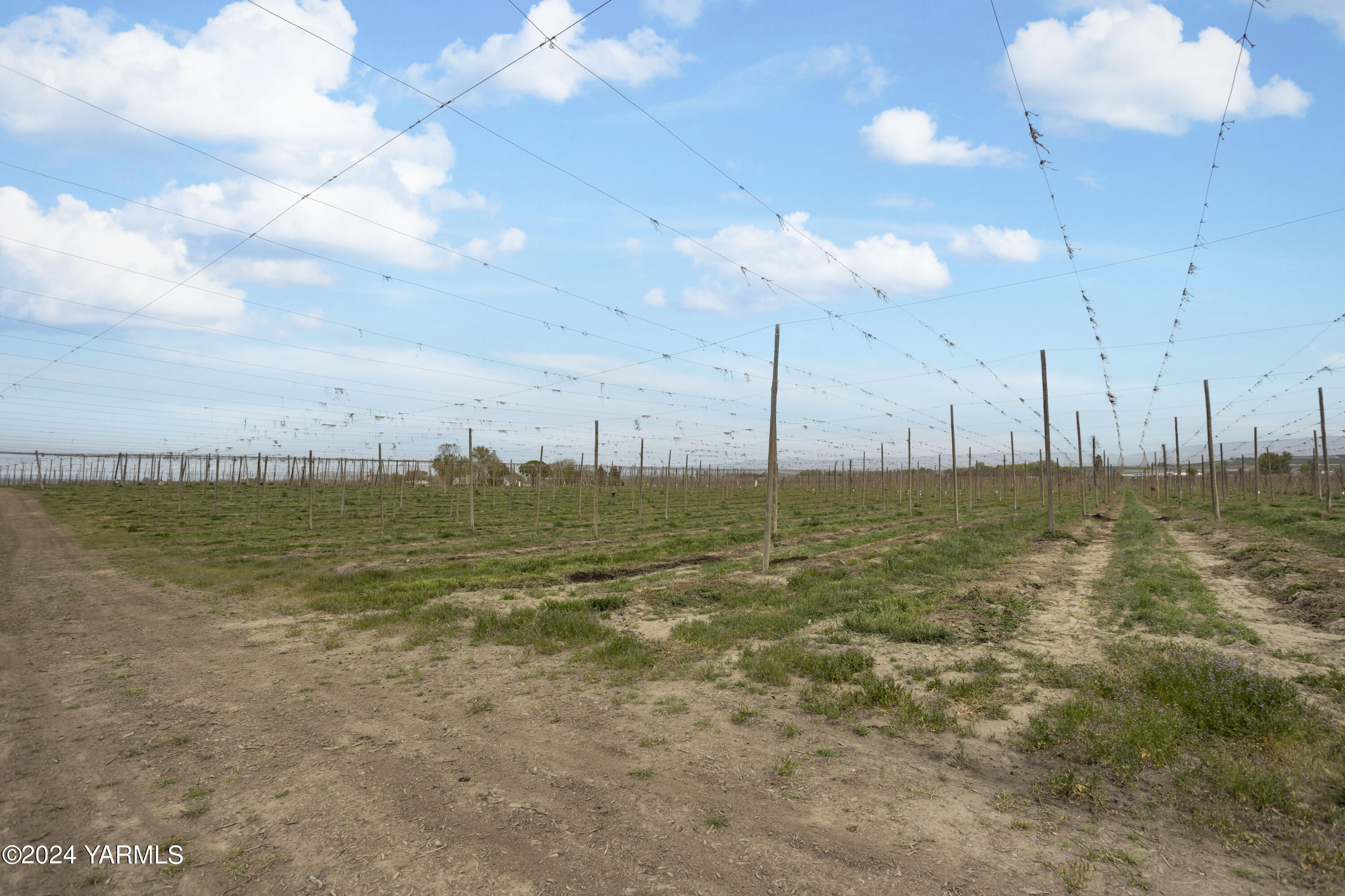Tbd Tbd Puterbaugh/forsell Road Grandview, WA 98930 - Photo 29 of 36 Puterbaugh 4.24.24 29